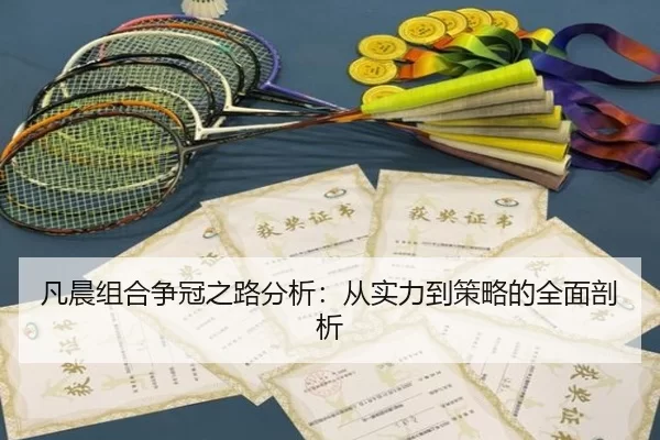 凡晨组合争冠之路分析：从实力到策略的全面剖析
